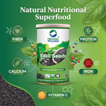 Organic Wellness Basil Seeds - 100 gm