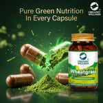 Organic Wellness Wheat Grass Capsules -  90 Capsules Bottle
