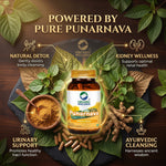 Organic Wellness Punarnava Capsules -  90 Capsules