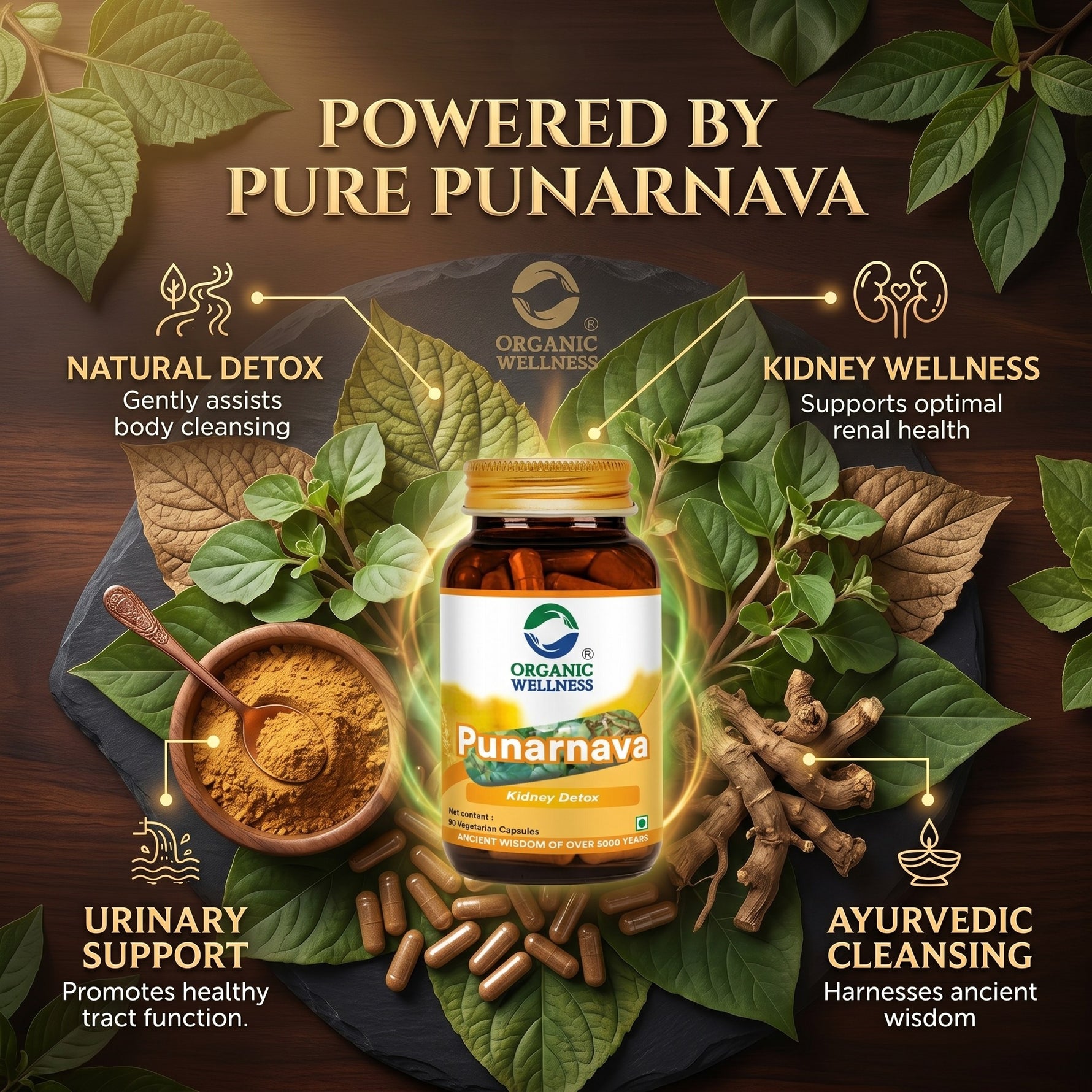 Organic Wellness Punarnava Capsules -  90 Capsules
