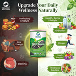 Organic Wellness Basil Seeds - 100 gm