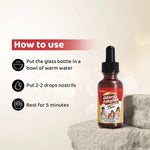 Arogyam Allergy Rakshak Ghee – Ayurvedic Nasya Ghee for Nasal & Respiratory Wellness Support – 20ml