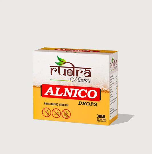 Rudra Mantra Alnico Drops - 30 ML x3 Bottles inside This Kit