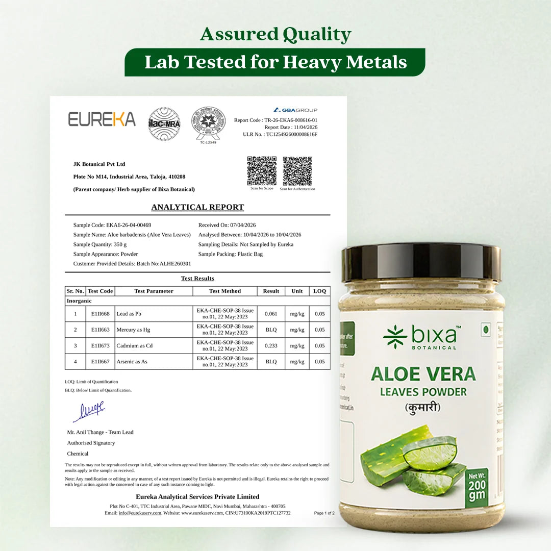 Bixa Botanical Aloe Vera Leaves Powder (Aloe Barbadensis) | Pure Kumari Leaf Powder for Skin Hydration, Scalp Health & Digestive Cleansing (200g)