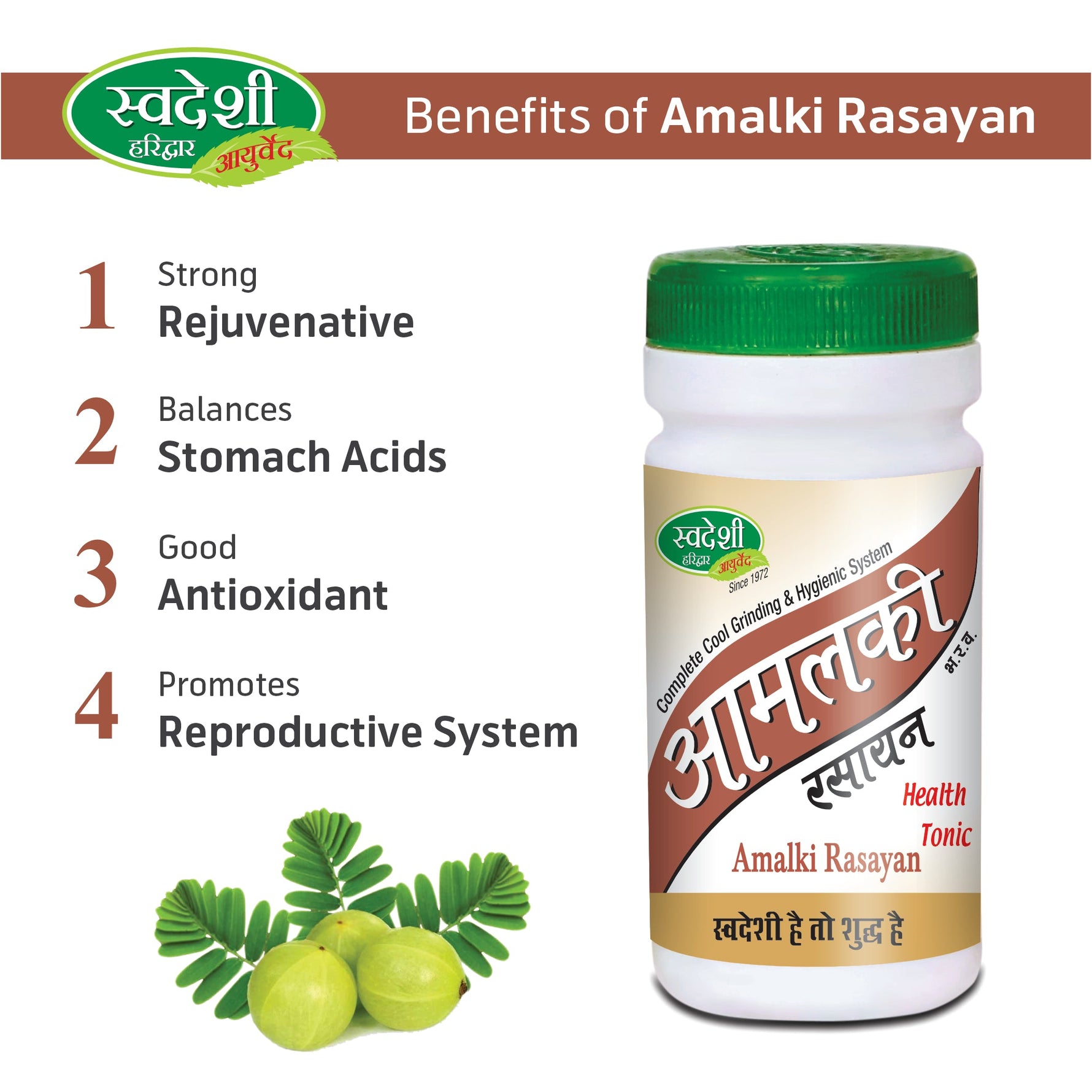 Swadeshi Amalki Rasayan - 100gm