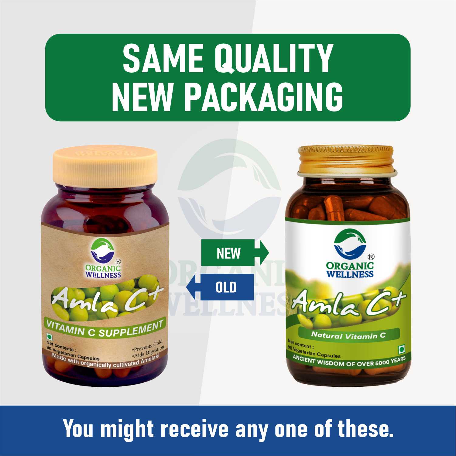 Organic Wellness Amla Capsules - Vitamin C - Antioxidant - 90 Veg Capsules
