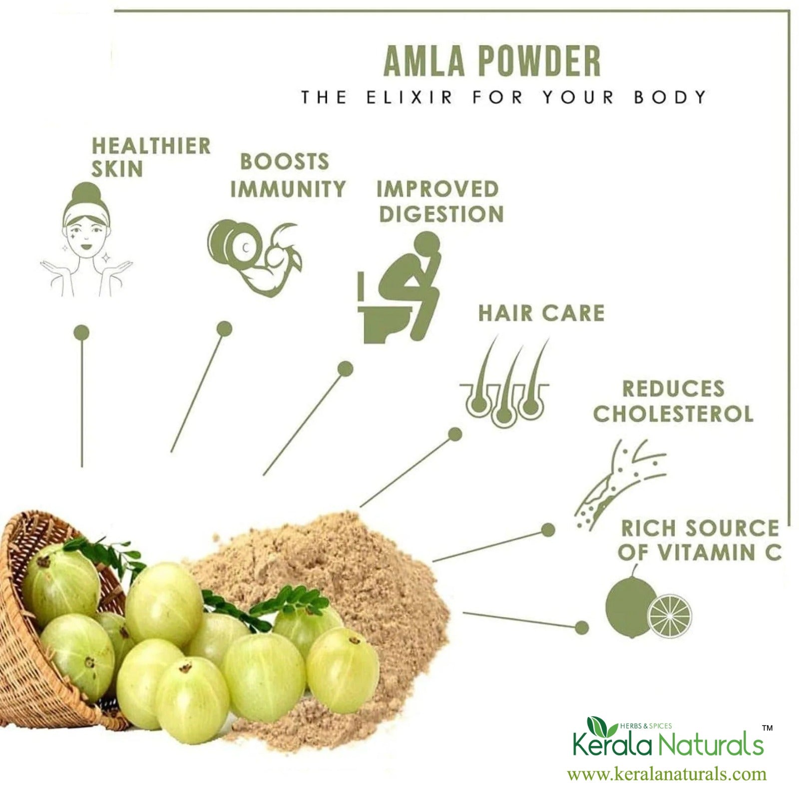 Kerala Naturals Amla Powder 100 gm
