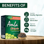 Swadeshi Ayurved Amla Chatpata (Gooseberry Emblica) - 500gm