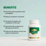 Dr. Satnam's Arogyam Anaemia Care Capsule (60 Each)