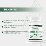 Dr. Satnam’s Arogyam Ayurveda Arbud Haran Yog Capsules (500mg, 60 Capsules) | Classical Herbo-Mineral Formula for Cysts, Tumors, Abnormal Growth & Tissue Swelling