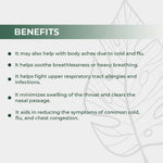 Dr. Satnam's Arogyam U.R.T. Tablets for Allergies (60 Tablets x 2 Units)