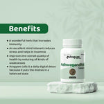 Dr. Satnam's Arogyam Ayurveda Ashwagandha 500mg Tablet (30 Each)