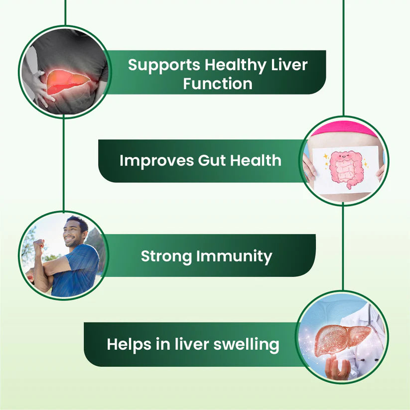 Cipzer Araq-E-Mako - 500ml | Natural Liver Detox, Blood Purifier & Herbal Digestive Health Tonic