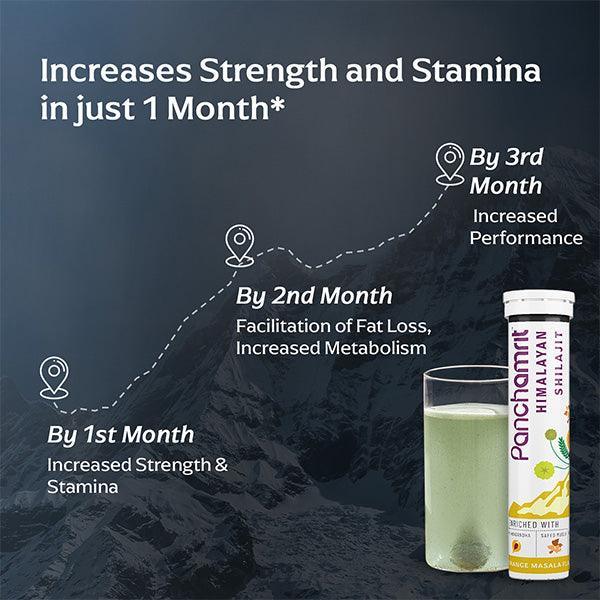Panchamrit Himalayan Shilajit Effervescent Tablet with Ayurvedic Herbs|Boosts Stamina (15 Each)