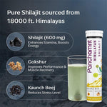 Panchamrit Himalayan Shilajit Effervescent Tablet with Ayurvedic Herbs|Boosts Stamina (15 Each)