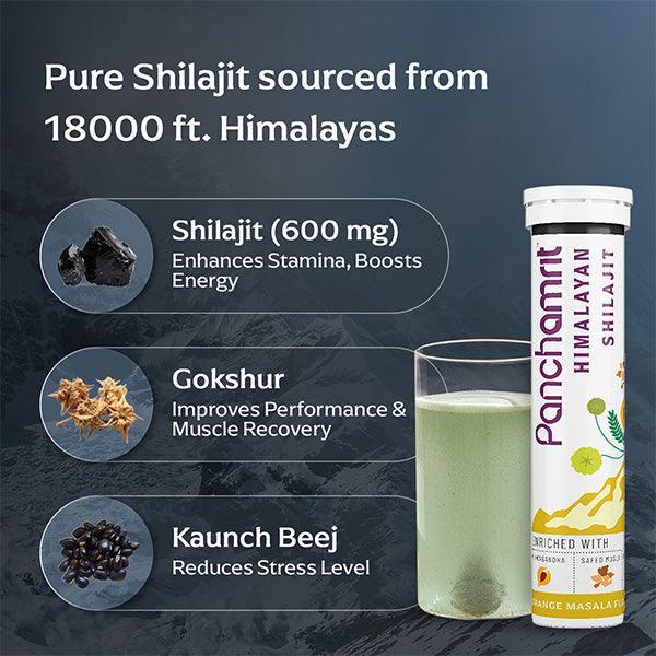 Panchamrit Himalayan Shilajit Effervescent Tablet with Ayurvedic Herbs|Boosts Stamina (15 Each)