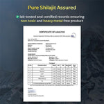 Panchamrit Himalayan Shilajit Effervescent Tablet with Ayurvedic Herbs|Boosts Stamina (15 Each)