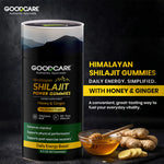 Goodcare Shilajit Power Gummies 60 – Energy, Stamina & Daily Wellness