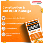 Baidyanath isabgol Orange Lax Powder - (250gm Each) Orange Flavour