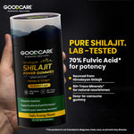 Goodcare Shilajit Power Gummies 60 – Energy, Stamina & Daily Wellness