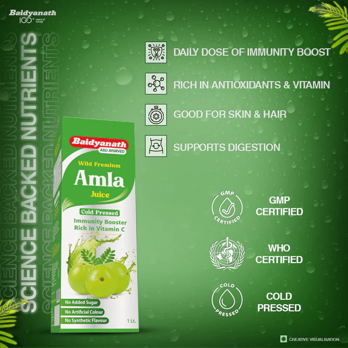 Baidyanath Amla Juice and Aloevera Juice 1 lit Combo