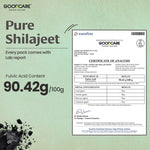Goodcare Himalayan Shilajit Resin 15 gm