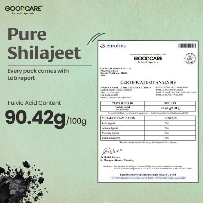 Goodcare Himalayan Shilajit Resin 15 gm