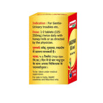 Baidyanath Bangeshwar Ras Brihat (Swarna Moti Yukta) - 25 Tab