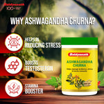 Baidyanath Ashwagandha Churna (100gm Each) | Stress Relief & Immunity Boost