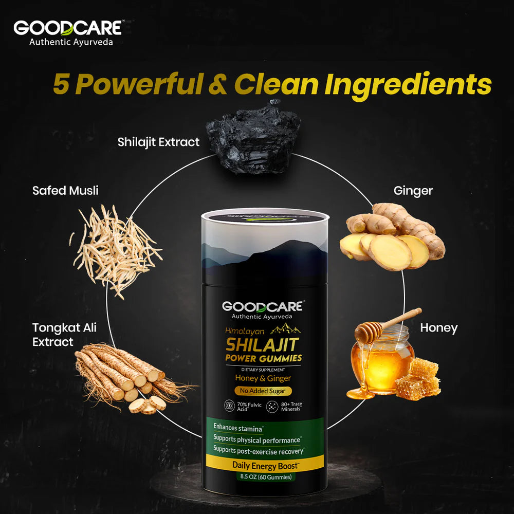 Goodcare Shilajit Power Gummies 60 – Energy, Stamina & Daily Wellness