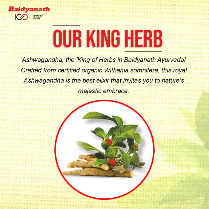 Baidyanath Ashwagandha Churna (100gm Each) | Stress Relief & Immunity Boost