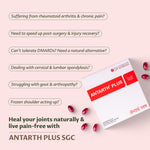 Millennium Herbal Care Antarth Soft Gelatin Capsule (40 Each)