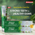 Baidyanath Herbal Toothpaste 100 g (Pack of 2) | Fluoride-Free, SLS-Free Ayurvedic Toothpaste with Neem & Clove for Strong Teeth & Healthy Gums
