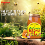 Baidyanath Chyawanprash & Madhu Combo - 500Gm Each