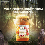 GoodCare Wild Forest Honey – Natural, Antioxidant-Rich & Immunity Boosting - 500Ml
