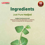 Baidyanath Asli Ayurved Hadjod Tablet (60 Each)