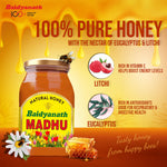 Baidyanath Chyawanprash & Madhu Combo - 500Gm Each