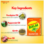 Baidyanath Balm - 8 ml (Pack of 2)