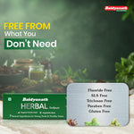 Baidyanath Herbal Toothpaste 100 g (Pack of 2) | Fluoride-Free, SLS-Free Ayurvedic Toothpaste with Neem & Clove for Strong Teeth & Healthy Gums