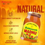 Baidyanath Chyawanprash & Madhu Combo - 500Gm Each