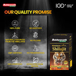 Baidyanath Himalayan Shilajit – Pure Strength & Stamina - 50 Tablets