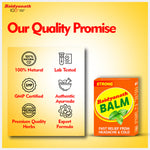 Baidyanath Balm - 8 ml (Pack of 2)