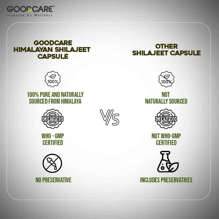 GoodCare Himalayan Shilajeet Capsules - Ayurvedic Stamina, Strength & Energy Boost - 60 Capsules