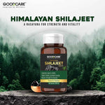 GoodCare Himalayan Shilajeet Capsules - Ayurvedic Stamina, Strength & Energy Boost - 60 Capsules
