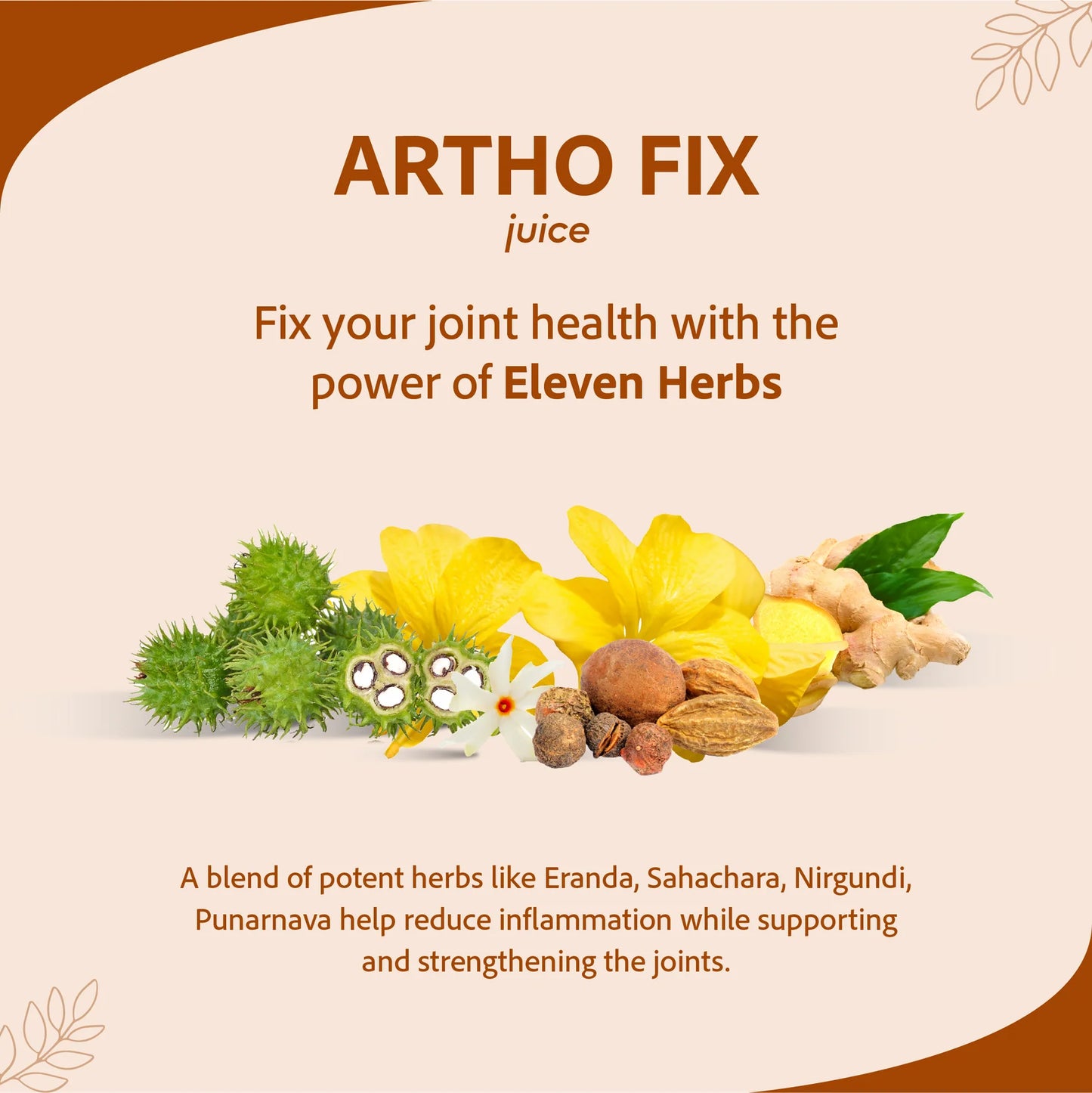 Sri Sri Tattva Artho Fix Juice - 1000ml