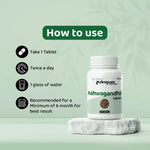 Dr. Satnam's Arogyam Ayurveda Ashwagandha 500mg Tablet (30 Each)