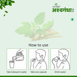 Kaahan Ayurveda Ashwagandha Capsule - 60 Capsules