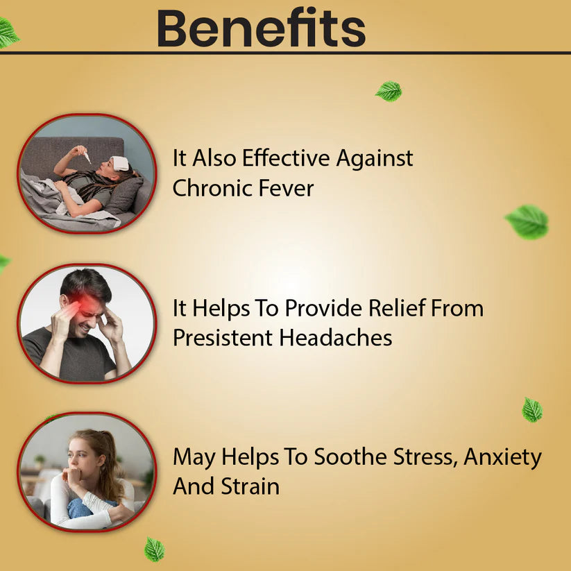Cipzer Habb-E-Shifa Pill - 100 Pills | Unani Immunity & Vitality Booster for Overall Health & Wellness