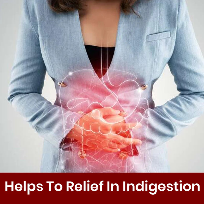 Cipzer Habb-E-Hilteet Pill - 100 Pills | Natural Unani Remedy for Indigestion, Gas, Stomach Pain & Bloating