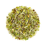 Preview-1Mix Seeds for Sprouting